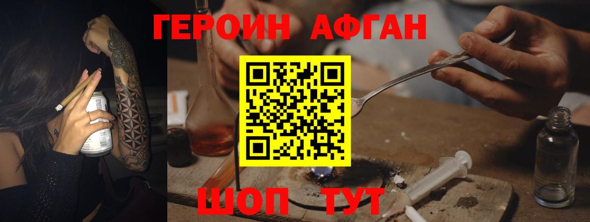 ГЕРОИН хмурый Элиста