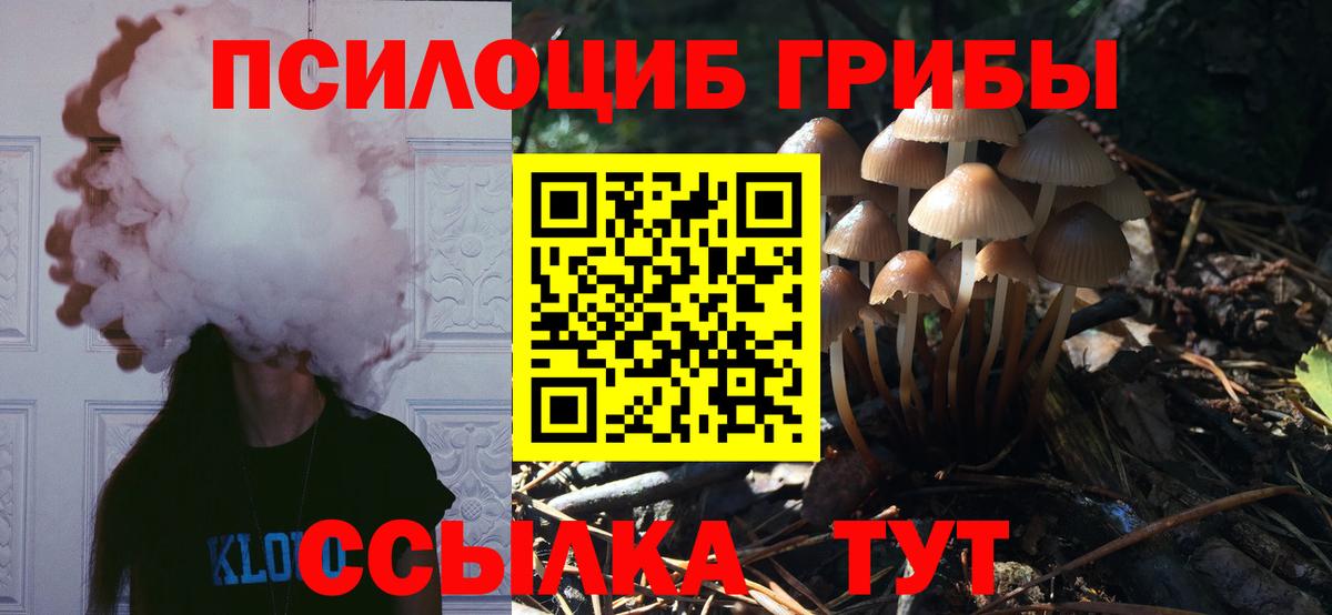 БУТИРАТ Элиста