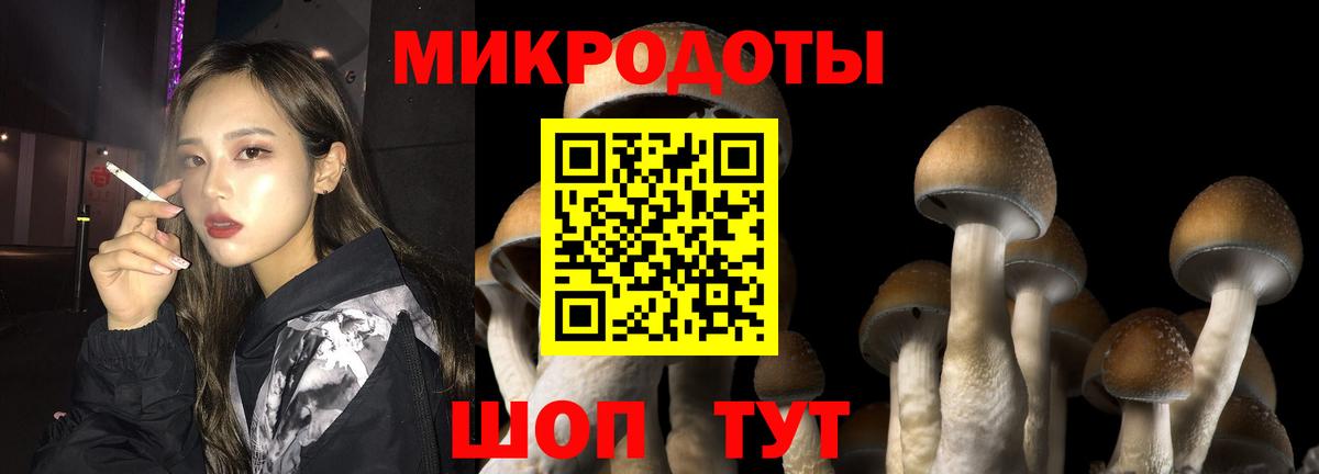 Псилоцибиновые грибы Psilocybe  Галлюциногенные грибы GOLDEN TEACHER  Элиста  где найти наркотики  Вход с VPN 